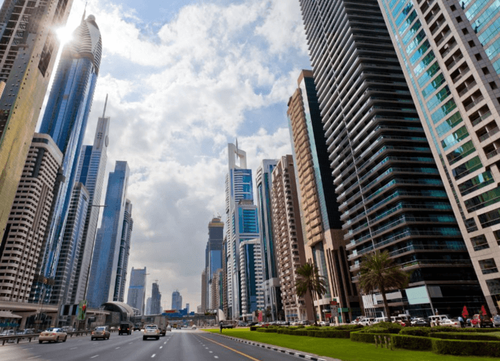 Real Estate Business Development